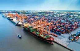 Cước vận tải biển tăng mạnh
