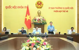 Tăng nhiều hơn thẩm quyền của Chủ tịch Ủy ban nhân dân sau sắp xếp