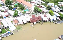 Sạt lở 'bủa vây' Đồng bằng sông Cửu Long