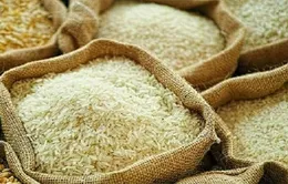Chính phủ Nhật Bản nỗ lực giảm giá gạo