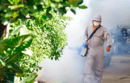 Phản ánh điểm nguy cơ sốt xuất huyết qua ứng dụng của ngành Y tế