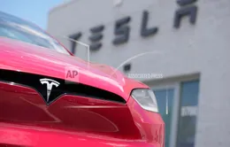 "Giấc mơ" Trung Quốc của Tesla đang sụp đổ?