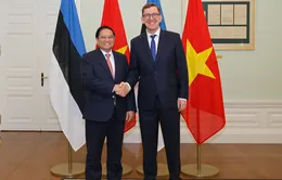Thủ tướng Phạm Minh Chính hội đàm với Thủ tướng Estonia