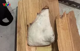 Hải quan bắt giữ hơn 84.000 bao thuốc lá ngoại và hơn 5 kg ma túy được cất giấu tinh vi