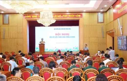 Xử lý nghiêm tổ chức, cá nhân bảo kê cho buôn lậu, gian lận thương mại và hàng giả