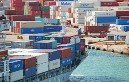 Nhật Bản đạt tiến triển trong các cuộc đàm phán thuế quan với Hoa Kỳ