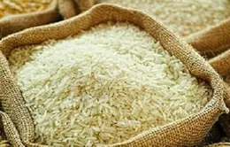 Trung Quốc tăng nhập khẩu trở lại gạo Việt