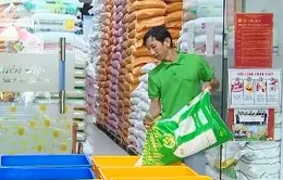 Sức mua gạo ST25 giảm trước thông tin bị làm giả