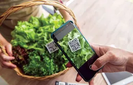 Truy xuất nguồn gốc để nhận diện gian lận thương mại, xuất khẩu bền vững