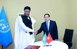 Chủ tịch Đại hội đồng Liên hợp quốc: Hợp tác cùng Việt Nam thúc đẩy tuân thủ luật pháp quốc tế và chủ nghĩa đa phương