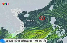 Vùng áp thấp trên Biển Đông có khả năng trở thành bão số 1