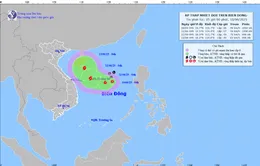 Vùng áp thấp đã mạnh lên thành áp thấp nhiệt đới