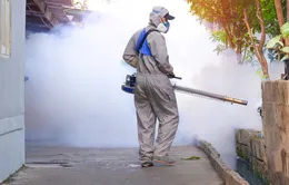 Cảnh giác với nguy cơ sốt xuất huyết tại những khu vực công cộng