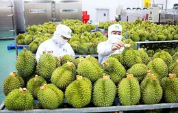 Sức hút của nông sản Việt