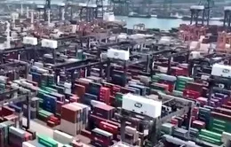 Mỹ: Nhập khẩu giảm mạnh, giá cả leo thang