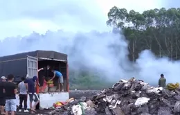 Hơn 25 tấn mực, chân gà bốc mùi bị tiêu hủy