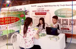 Đầu tư dịch vụ việc làm là chiến lược dài hạn nâng cao chất lượng lao động