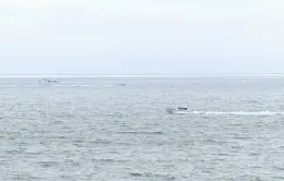 Rơi máy bay ngoài khơi bờ biển San Diego, 6 người thiệt mạng