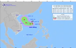 Áp thấp nhiệt đới giật cấp 8, cách quần đảo Hoàng Sa khoảng 360 km