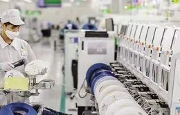Địa phương đồng hành để doanh nghiệp tư nhân bứt phá