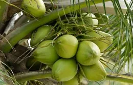 Xuất khẩu duy trì tăng trưởng