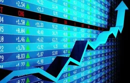 Nhà đầu tư chứng chỉ quỹ mạnh tay tích sản