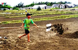 Ngày hè của những “diêm dân nhí”