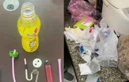 Triệt phá ổ nhóm buôn bán, sử dụng ma túy đá tại Quảng Ninh