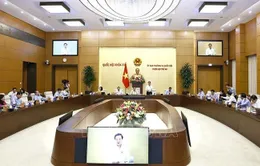 Hoàn thiện dự thảo Luật sửa đổi, bổ sung một số điều của Bộ luật Hình sự