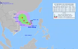 Áp thấp nhiệt đới trên Biển Đông có khả năng mạnh lên thành bão trong ngày mai (11/6)