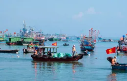 Hơn 400 người tham gia chiến dịch làm sạch bãi biển quy mô lớn tại Vịnh Nghi Sơn