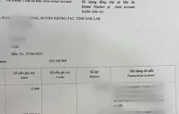 Bị lừa gần 300 triệu đồng sau khi nhận cuộc gọi tự xưng từ shipper