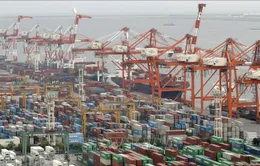 Hạ dự báo tăng trưởng toàn cầu