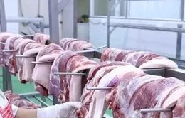 Trung Quốc gia hạn điều tra thịt lợn EU