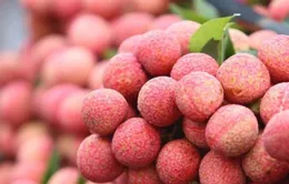 Thị trường nội địa "tiếp sức" cho nông sản Việt