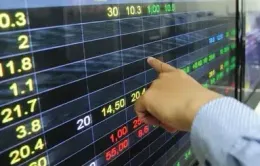 VN-Index lùi về sát mốc 1.310 điểm