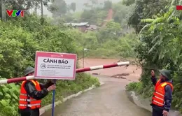 Mưa lớn tại Quảng Trị: Hơn 10.000 ha lúa chìm trong nước