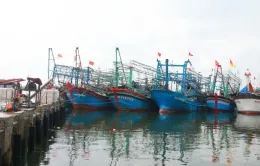 Các địa phương sẵn sàng lực lượng, phương tiện ứng phó với bão số 1