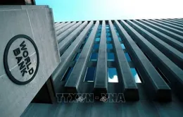 Căng thẳng thương mại kìm hãm tăng trưởng các nước đang phát triển
