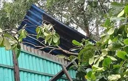 Dông lốc làm tốc mái 7 căn nhà ở Bạc Liêu, thiệt hại khoảng 300 triệu đồng