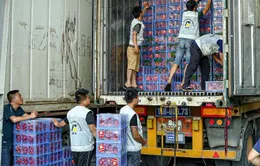 Vải thiều được mùa, nâng tầm xuất khẩu