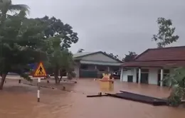 Miền Trung oằn mình chống mưa lũ, hàng ngàn hộ dân chìm trong biển nước