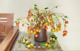 Độc đáo trào lưu cắm cành vải thành hoa