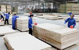 Thách thức xuất khẩu 18 tỷ USD xuất khẩu của ngành gỗ