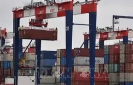 Hàng nhập khẩu qua cảng Mỹ giảm mạnh