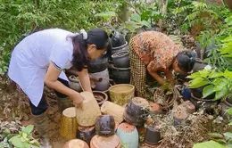 Cảnh báo nguy cơ dịch bệnh bùng phát sau mưa lũ, ngập úng