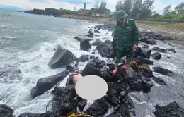 Phát hiện một thi thể nữ giới dạt vào đảo Cồn Cỏ