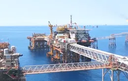 PetroVietnam - Bứt phá ngoạn mục giữa thách thức toàn cầu