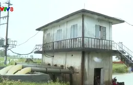 Quảng Bình chủ động ứng phó mưa lớn bất thường