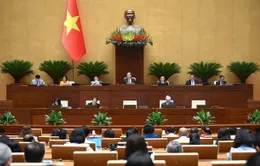 Truyền hình trực tiếp: Quốc hội biểu quyết thông qua Nghị quyết sửa đổi Hiến pháp